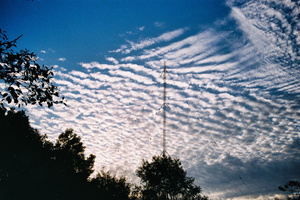 红树林公园的云