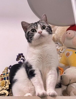 mmexport1757253609697